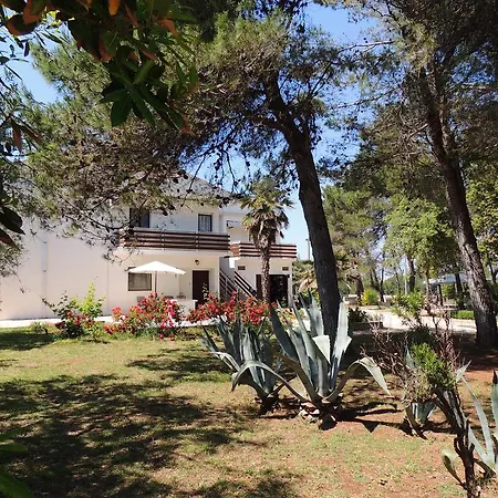 Апартаменты Liveric Вир