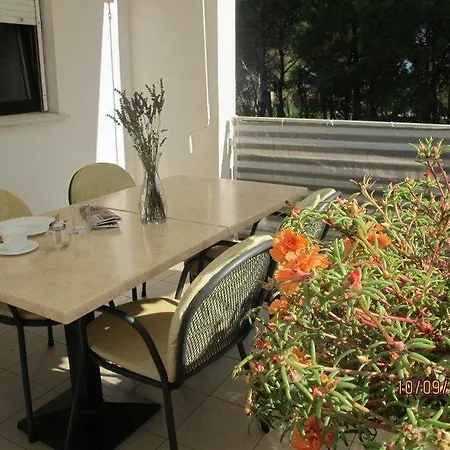 Apartment Liveric Vir