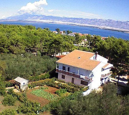 Liveric Appartement Vir