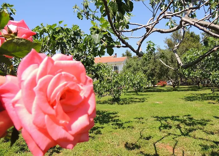 Apartman Liveric Vir